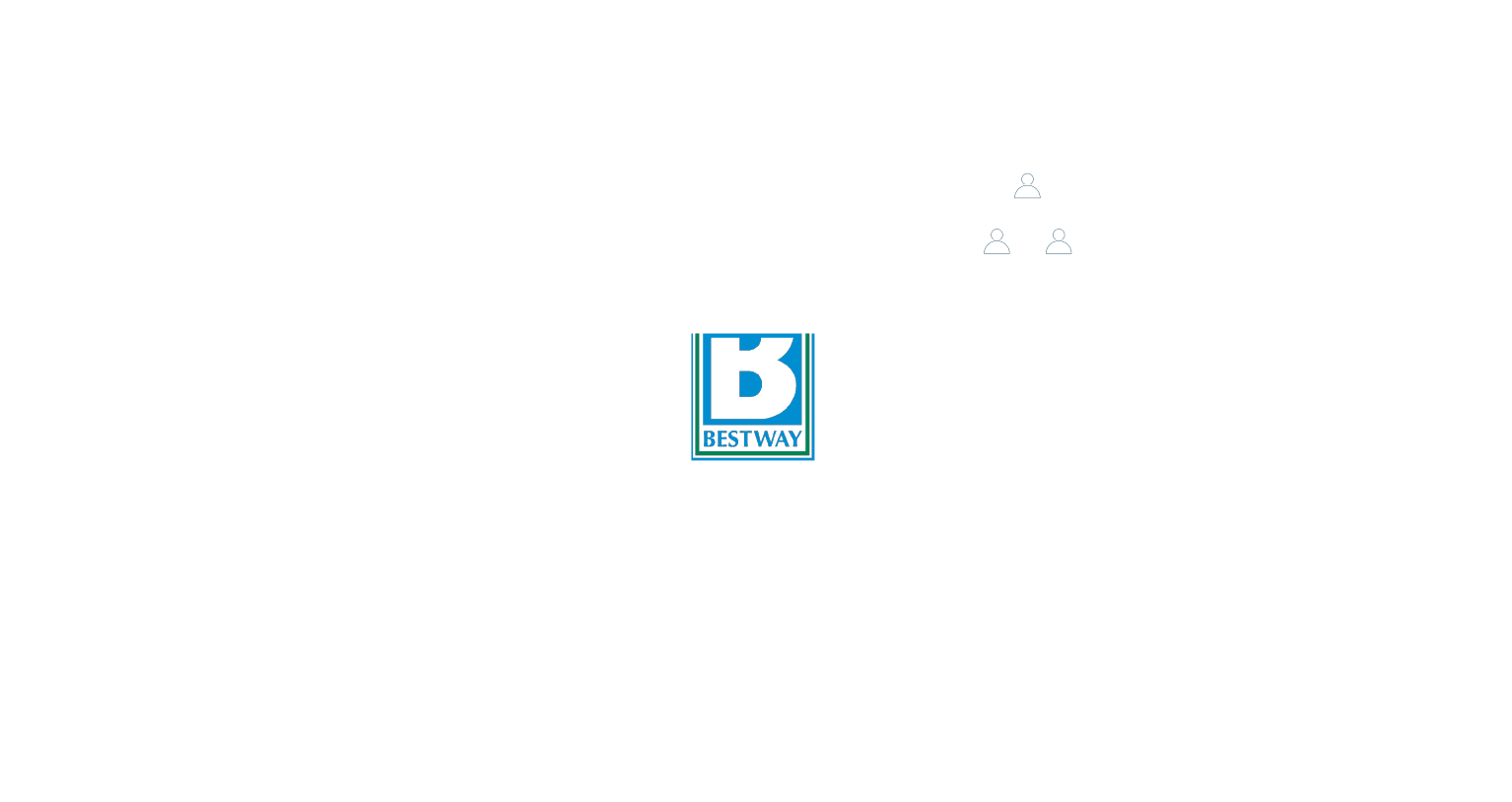 Infographics showing Bestway Group’s values